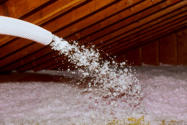 Best Insulation for Specific Applications in , LA