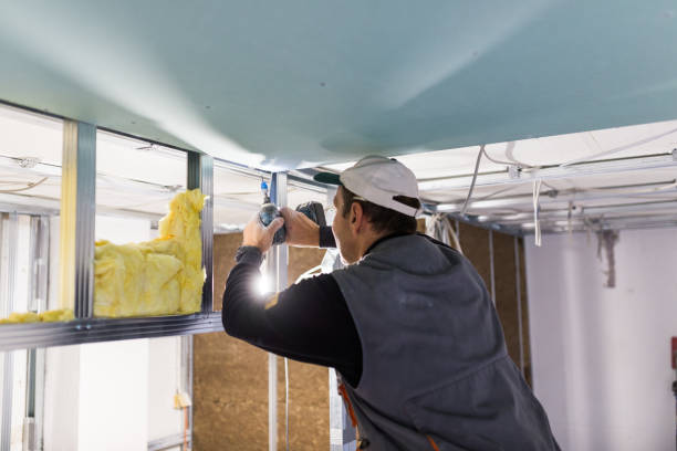 Best Insulation Materials and Products in , LA