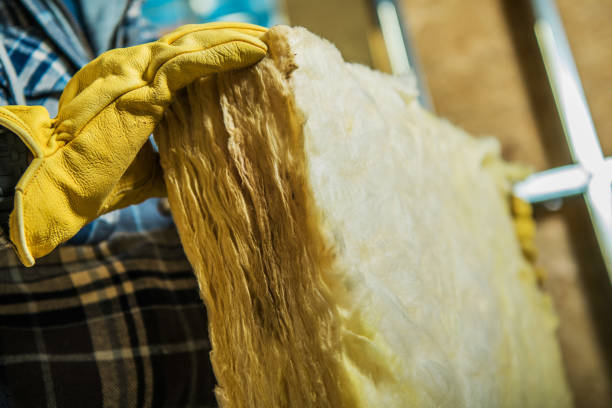 Best Insulation for Specific Applications in , LA