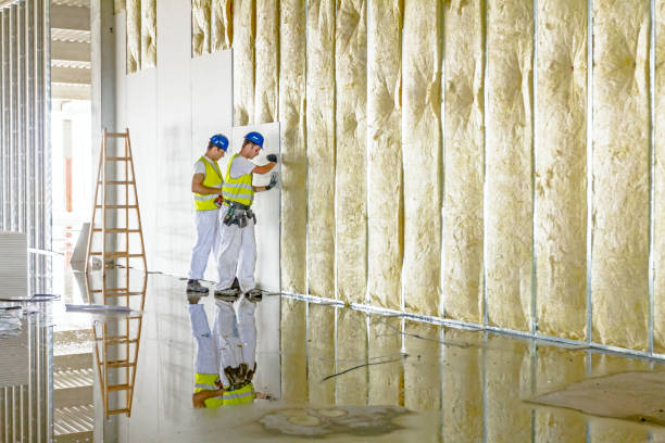 Best Insulation for Specific Applications in , LA